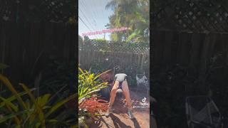 Check out my #Morning #Stretch #Routine #Dance & #Be #Happy  @FitDanceTV @tiktok_daily620