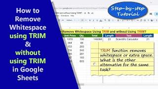 Google Sheets | TRIM | Remove Whitespace | Alternative to TRIM | Example | Spreadsheet | Tutorial