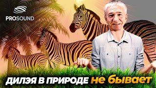 ДИЛЭЯ В ПРИРОДЕ НЕ БЫВАЕТ ! #сведениетрека #сведениевокала