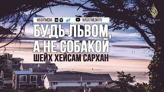 «Будь львом, а не собакой!» | шейх Хейсам Сархан ᴴᴰ