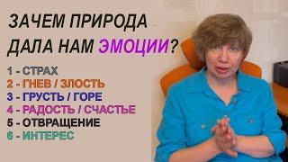 Всё об ЭМОЦИЯХ кратко. Шесть основных эмоций человека. Отличие эмоций от чувств и аффектов