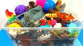 Dinosaur Toys and Sea Animals Toy Box