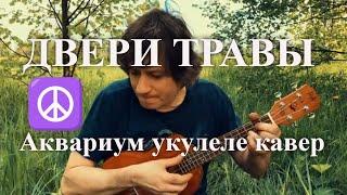 Антон Мизонов - Двери Травы (Аквариум укулеле кавер)