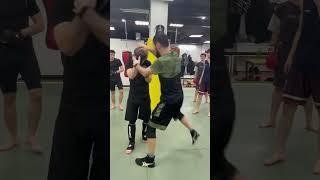  Сегодня отработали серию комбинаций ударов руками и ногами!  #ММА #Тренировки ##mma #ufc #бокс