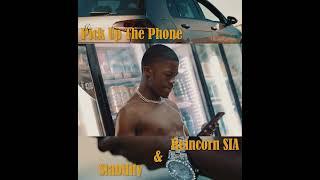 Reincorn SIA & Stability_-_Pick Up The Phone(Promo video)