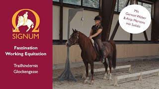 Working Equitation Trailhindernis "Glockengasse" in der Praxis mit Anja Mertens und Gernot Weber