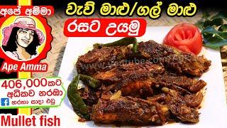  වැව් මාළු/ගල් මාළු රසට උයමු Delicious Mullet fish recipe by Apé Amma (wavu malu)