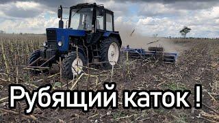 Рубящий каток по стерне подсолнечника! МТЗ с водоналивным катком.