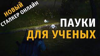 29. Пауки для ученых. Новый Сталкер Онлайн, СПБ сервер.