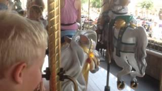 Cyboron Disney World Merry-Go-Round