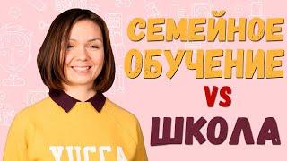 Домашнее обучение vs Школа. Плюсы и минусы обучения ребенка дома. 6+