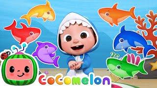 بچه کوسه رنگ ها را یاد می گیرد + آهنگ سبزی بله بله | CoComelon Nursery Rhymes | میکس پارتی رقص!