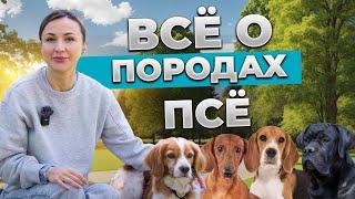 От Джек Рассела до Ретривера: обзор популярных пород. Особенности воспитания и характер. Сборник!