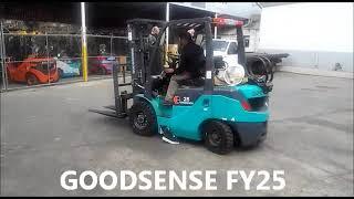 FY25 GOODSENSE