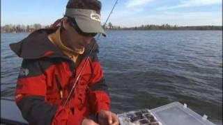 Drop Speed Tactics for Bass