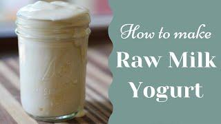 How to make Raw Milk Yogurt | Yogurt with No Yogurt Maker or InstaPot!