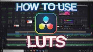 How To Use LUTS in Davinci Resolve 19! (Fast Color Grading)