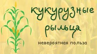  Как наладить работу кишечника и мочевого пузыря?  Выпуск 92.