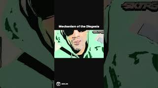 Mechanism of the Diegesis.