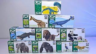 10 New Takara Tomy Sea Animal, Animal, and Dinosaur Toys - Giraffe, Whale, Crocodile, Lion, Panda