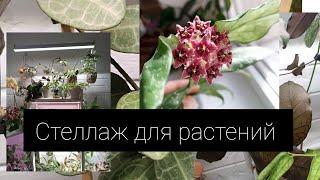 стеллаж для растений