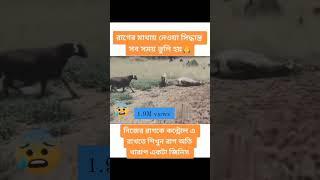 MD RAKIB Islam