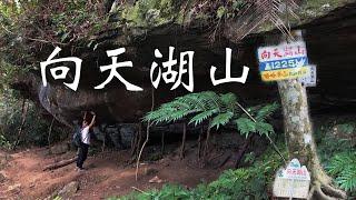 一日郊山 ｜ 向天湖山 - 三角湖山 ｜ 碰上矮靈祭，幾乎沒人登山 ｜ 2020-11-21