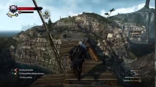 The Witcher 3: PARKOUR!