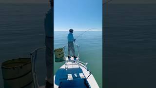 3 o’clock looks pretty good #fishing #flyfishing #redfish