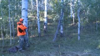 Utah Monster Bulls - Muzzleloader Hunt Episode of SOA