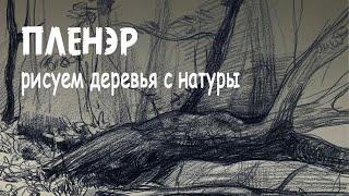 ПЛЕНЭР. Рисуем деревья с натуры [Елизавета Светлая]