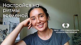 тело - как каналы восприятия.