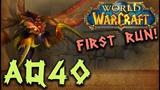 Full RAW AQ 40 1st run Resto Druid POV | Classic WoW