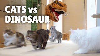 Cats vs Dinosaur | Kittisaurus