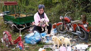 Genius Girl: She Saved a Dog, Repair and Rebuilt a Bicycle From the Landfill