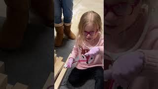 New helper in the shop. The Wood Doctor. #funny #woodworking