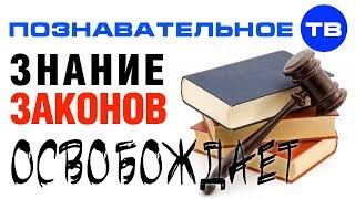 Знание законов ОСВОБОЖДАЕТ от отвественности (Евгений Пупырин)