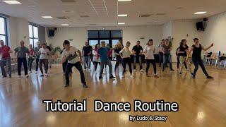 Tuto Dance Routine "Le ballroom Dance School Festival" - Ludo & Stacy