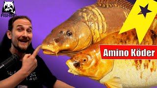 Russian Fishing 4 - Bernsteinsee - Amino Komination