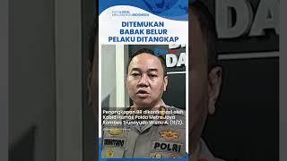 Polisi Tangkap Pria Penganiaya & Pemerkosa Wanita yang Ditemukan Babak Belur di Pinggir Tol Merak