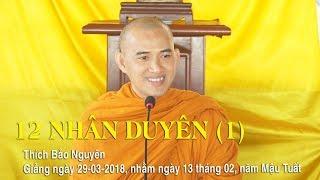 12 NHÂN DUYÊN (1) - Thích Bảo Nguyên