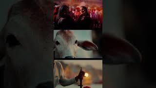 VIDEO EDIT TO DAVINCI RESELVE STUDIO 20