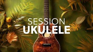 Introducing Session Ukulele | Native Instruments