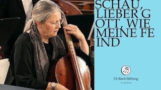 J. S. Bach - Cantata BWV 153 "Schau, lieber Gott, wie meine Feind" (J. S. Bach Foundation)