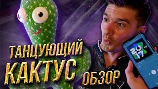 Танцующий кактус обзор. Игрушка повторюшка. Dancing cactus