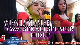 DUET PENGANTIN//AYU SYAHLA FT DAING JEFFY ARR_COVER SEKALI SEUMUR HIDUP 2023