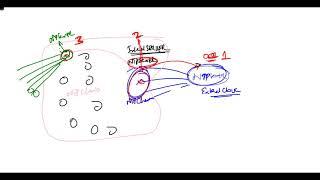 "Deciphering NTP Stratum Values: Understanding Time Hierarchy in Network Time Protocol"