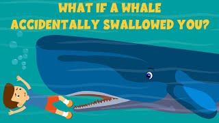 What If a Whale Accidentally Swallowed You? | Video for Kids