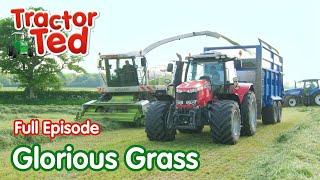 Glorious Grass | Tractor Ted Full Episode | Tractor Ted Official Channel