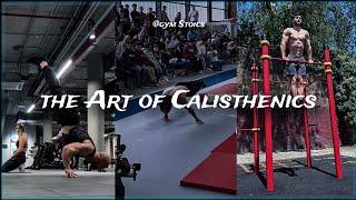 The Art Of Calisthenics X Gym Stoics